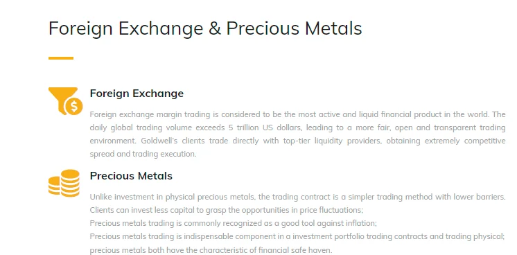 GoldWell capital assets
