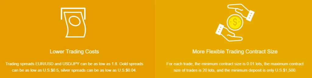 GoldWell capital account Type