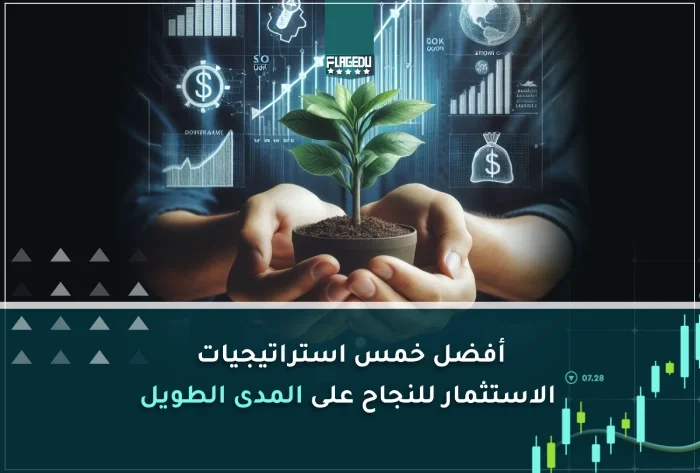 أفضل 5 إستراتيجيات لتحقيق استثمار ناجح على المدى الطويل