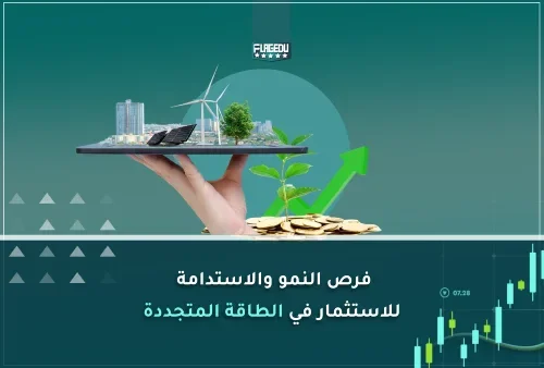 فرص النمو والاستدامة للاستثمار في الطاقة المتجددة
