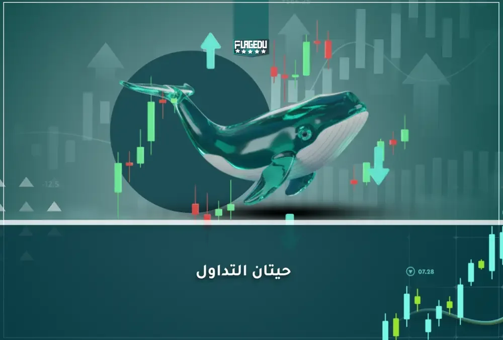 حيتان التداول (1)